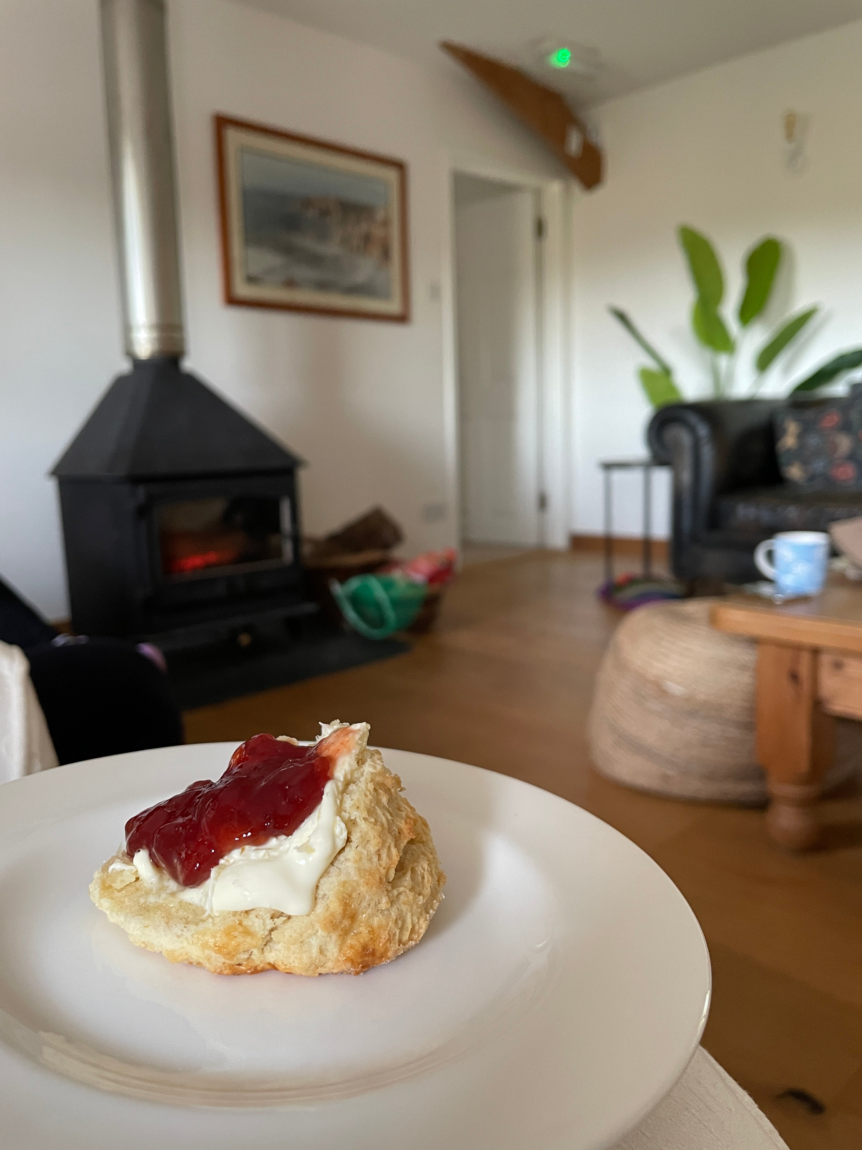 Cream Tea in front of the fire at our sewing retreat in Devon
