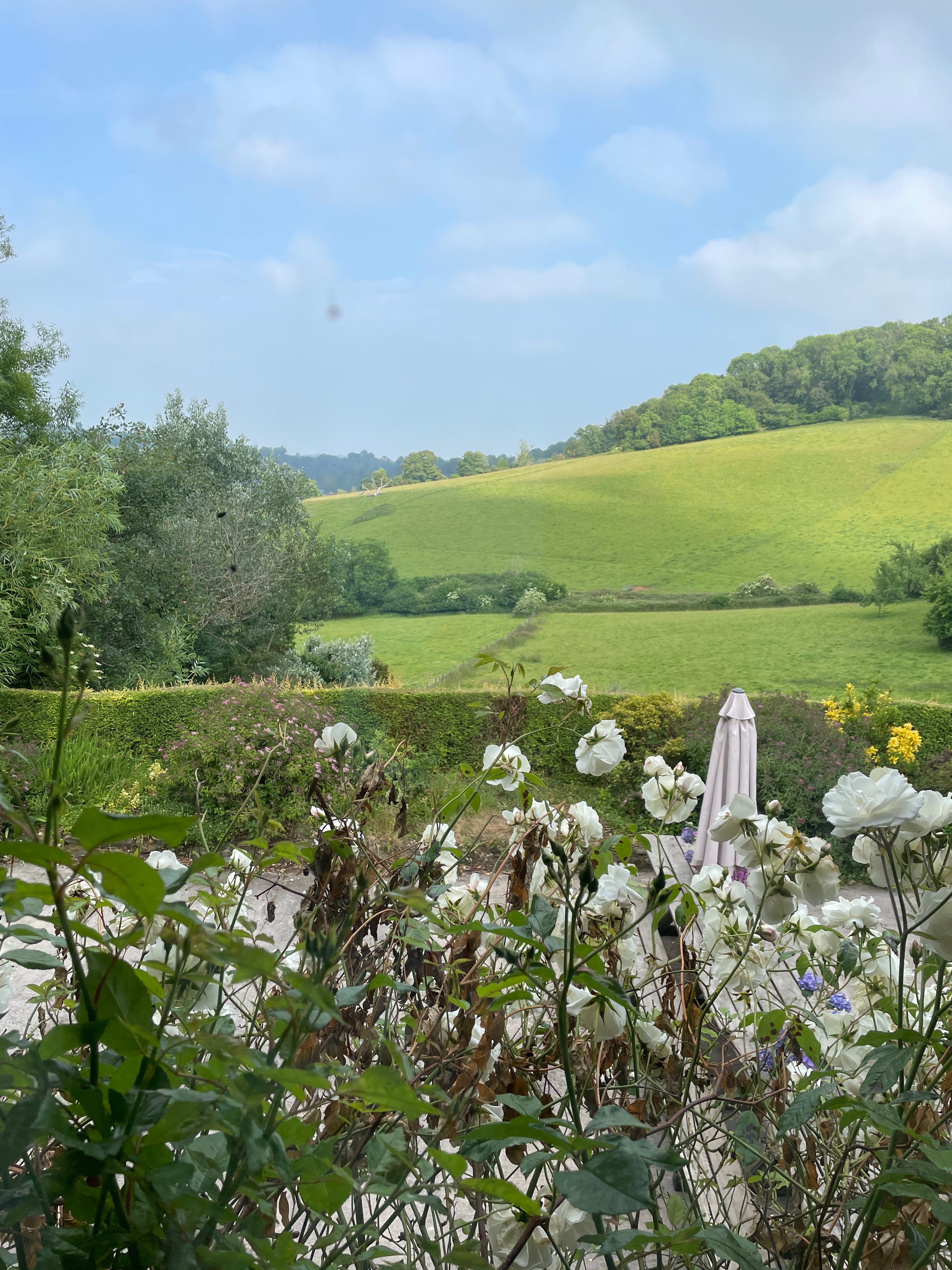 Views across the fields at our sewing retreat in Devon